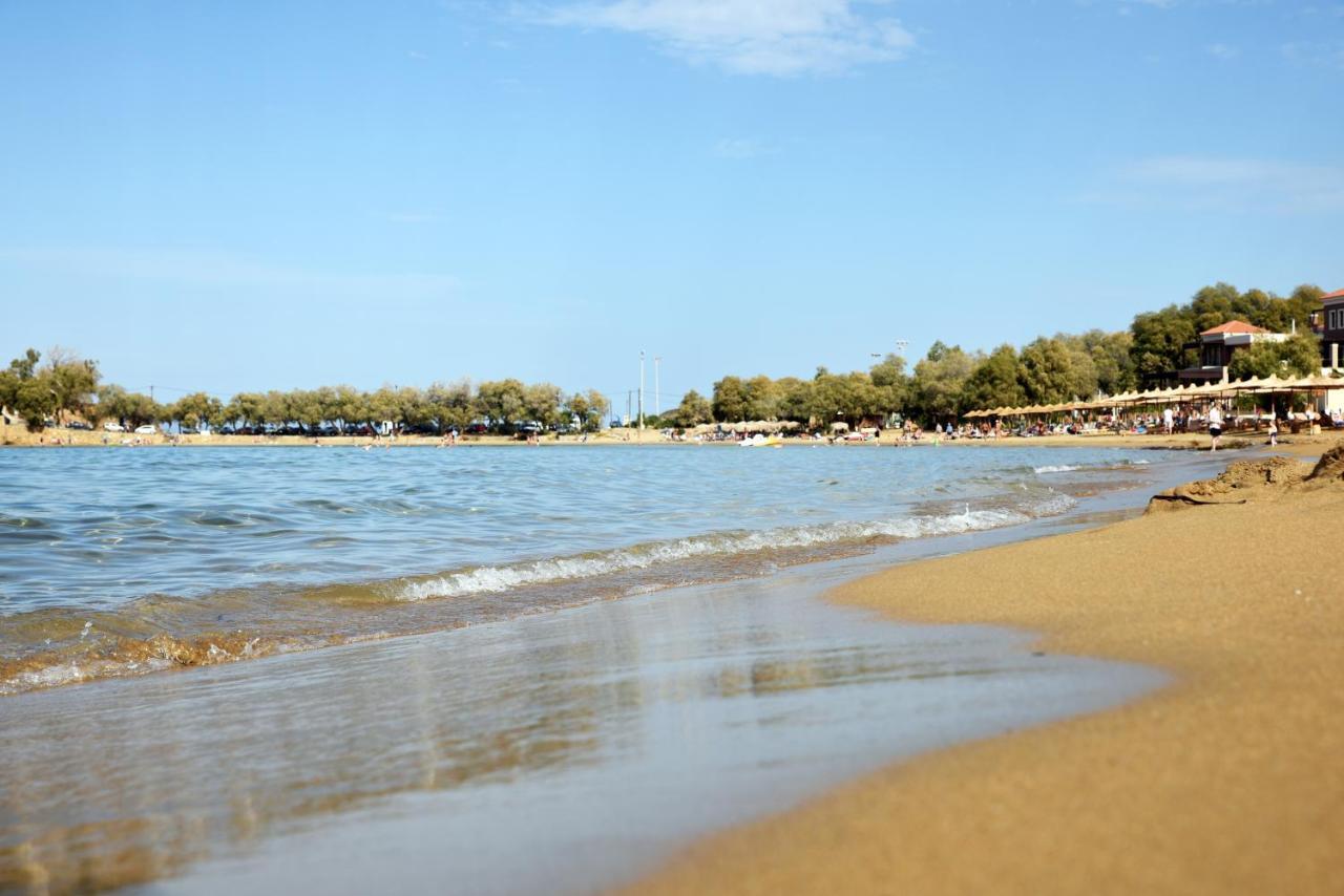 Iolkos 2* Kato Daratso